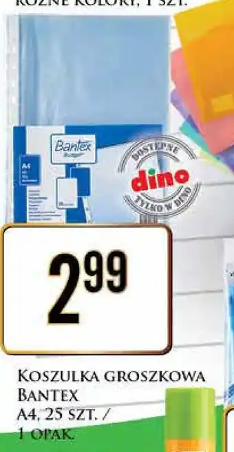 Dino Koszulki a4 Bantex oferta