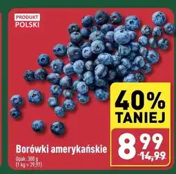 ALDI Borówki amerykańskie Polski oferta