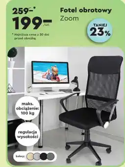 Biedronka Fotel oferta