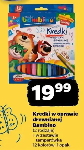 Netto Kredki w oprawie drewnianej Bambino, 12 kol. oferta