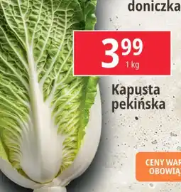 E.Leclerc Kapusta pekińska oferta