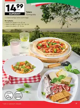 Biedronka Talerz Grangusto oferta