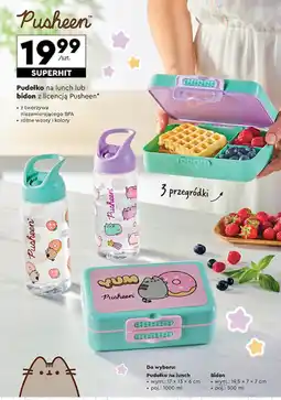 Pudełko na lunch 17 x 13 x 6 cm, 1000 ml / bidon z licencją Pusheen 19,5 x 7 x 7 cm, 500 ml