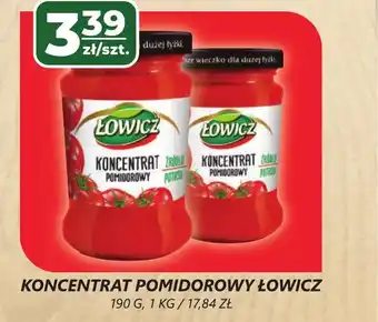 Top Market KONCENTRAT POMIDOROWY ŁOWICZ 190 G oferta