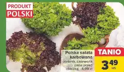 Carrefour Sałata karbowana zielona oferta