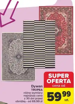 Carrefour Dywan tropea oferta