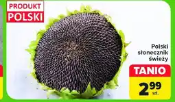 Carrefour Słonecznik polska oferta