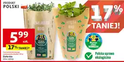 Auchan Tymianek bio Auchan Pewni Dobrego oferta