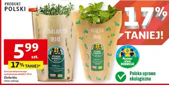 Auchan Tymianek bio Auchan Pewni Dobrego oferta