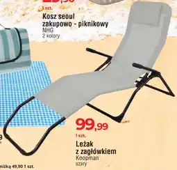 Leżak ogrodowy z podłokietnikami Koopman