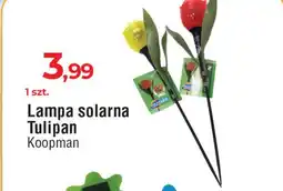 E.Leclerc Lampa solarna tulipan Koopman oferta