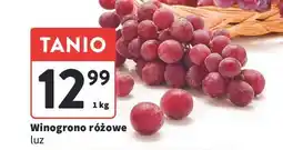 Intermarche Winogrona różowe oferta