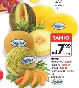Intermarche Melon zielony Sanlucar oferta