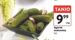 Intermarche Ogórki małosolne oferta