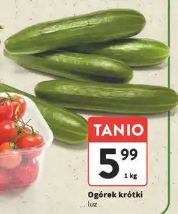 Intermarche Ogórek krótki oferta