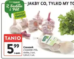 Intermarche Czosnek Z Sadów I Pól oferta