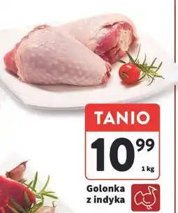 Intermarche Golonka z indyka oferta