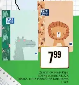 Dino Zeszyt Oxford oferta