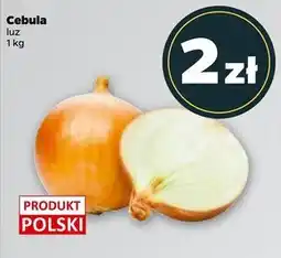 Netto Cebula Polski oferta