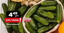 Netto Ogórek gruntowy, 1 kg oferta