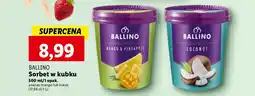 Sorbet kokos Ballino