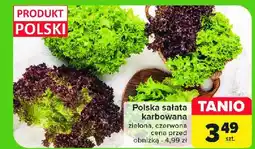 Carrefour Market Sałata karbowana zielona oferta