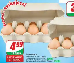 Dino Jaja świeże 10 szt oferta