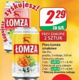 Dino Piwo Łomża smakowe 330ml oferta