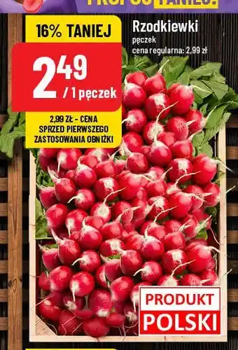 Polomarket Rzodkiewka oferta