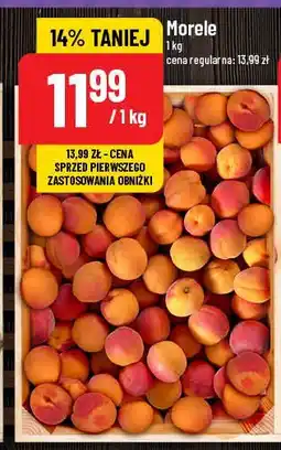 Polomarket Morele oferta
