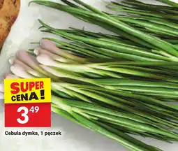 Cebula dymka, 1 pęczek