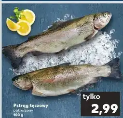 Kaufland Pstrąg tęczowy patroszony oferta