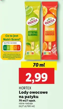 Lidl Lody cytrynka-limonka Hortex oferta
