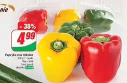Dino Papryka tricolore oferta