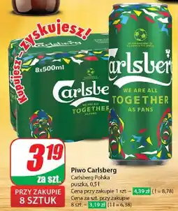 Dino Piwo Carlsberg oferta