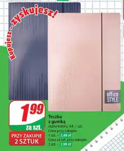 Dino Teczka z gumką oferta