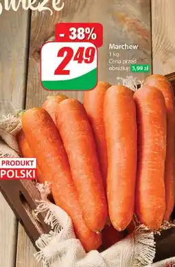 Dino Marchew polska oferta