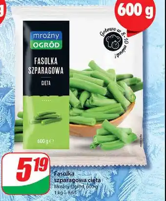 Dino Fasolka szparagowa cięta Mroźny ogród oferta