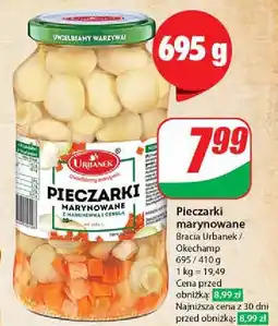 Dino Pieczarki marynowane z marchewką i cebulą Urbanek oferta