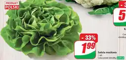 Dino Sałata masłowa polska oferta