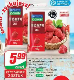 Dino Truskawki oferta