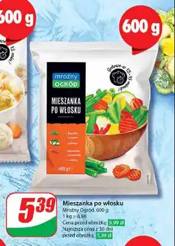 Dino Mieszanka po włosku Mroźny ogród oferta