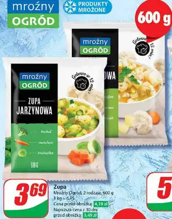 Dino Zupa kalafiorowa oferta