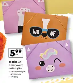 Biedronka Teczka oferta