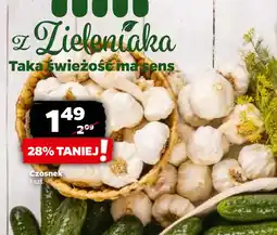 Netto Czosnek oferta