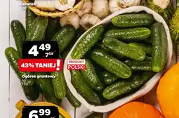 Netto Ogórek gruntowy oferta