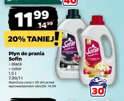 Netto Płyn do prania Sofin oferta
