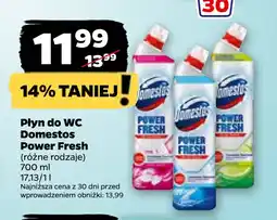Netto Płyn do WC Domestos Power Fresh oferta