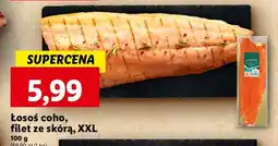 Lidl Łosoś pacyficzny coho filet xxl Connoisseur oferta