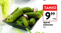 Intermarche Ogórki małosolne oferta